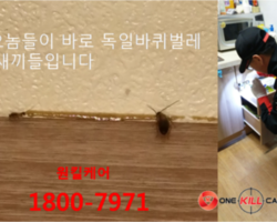 바퀴퇴치는 원킬케어