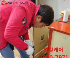 바퀴벌레퇴치 현장입니다.