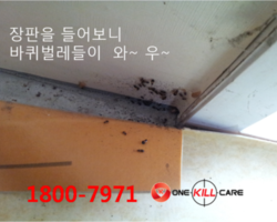 작업현장  청주 