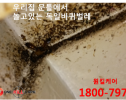현장사진