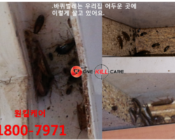 작업현장