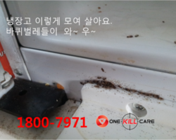 작업현장 공주