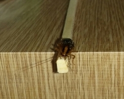 옥천 서비스현장입니다.