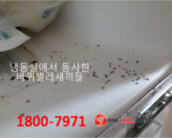 작업현장  공주