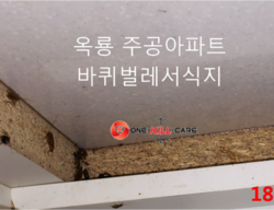 공주 옥룡주공아파트 바퀴벌레퇴치