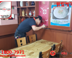 식당바퀴벌레퇴치