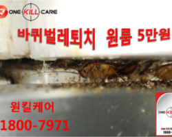 작업현장입니다.