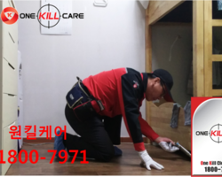 원킬케어 기숙사 작업현장입니다.