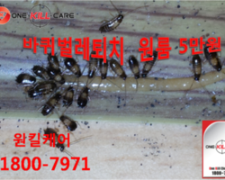 현장사진입니다.