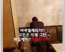바퀴벌레퇴치현장 9/8일