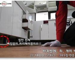 씽크대밑까지!!