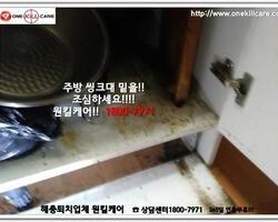 바퀴벌레 작업 현장 12월 