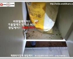 바퀴벌레 작업 현장 12월 