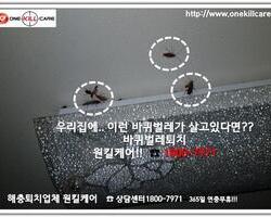 바퀴벌레퇴치 현장 10월