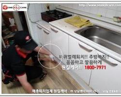 바퀴벌레퇴치현장 9/8일
