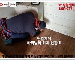 기숙사 바퀴벌레 퇴치 현장 
