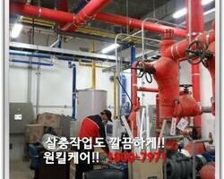 해충퇴치_살충작업 현장