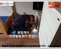  기숙사 바퀴벌레 퇴치 현장 
