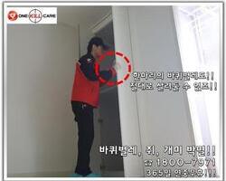광주 바퀴벌레 퇴치 현장
