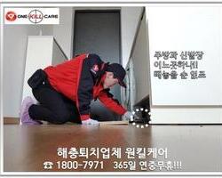 수원 바퀴벌레 작업 