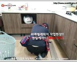 바퀴벌레퇴치 현장!!