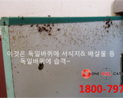 천안해충퇴치업체 작업현장