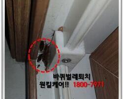 바퀴벌레퇴치 현장 10월