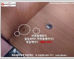 바퀴벌레 작업 현장