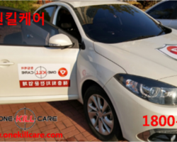 원주해충퇴치업체 원킬케어