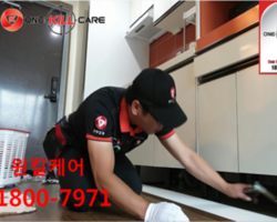 창원해충퇴치업체 작업현장
