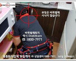 바퀴벌레퇴치 현장!!