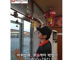 전주 음식점 바퀴퇴치 서비스 현장