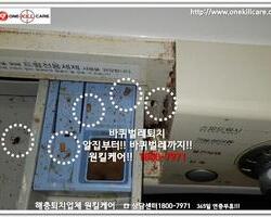 바퀴벌레 작업 현장