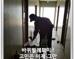 해충퇴치_살충작업 현장