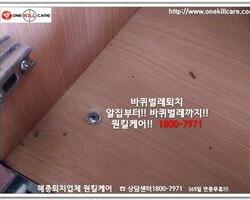바퀴벌레 작업 현장