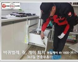 대전 가정집 바퀴퇴치 서비스 현장