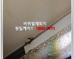 바퀴벌레퇴치 현장 10월