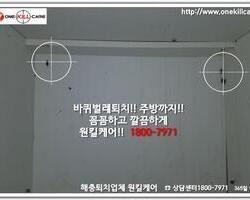 바퀴벌레퇴치현장 9/8일