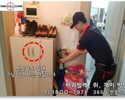 신발장 구석구석 퇴치