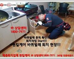  기숙사 바퀴벌레 퇴치 현장 