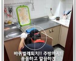 바퀴벌레퇴치현장 9/8일