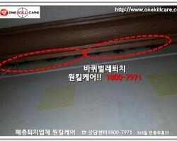 바퀴벌레퇴치 현장 10월