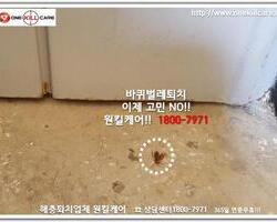 바퀴벌레 작업 현장