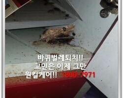바퀴벌레퇴치현장 9/8일
