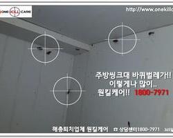 바퀴벌레퇴치현장 9/8일