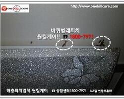 바퀴벌레퇴치 현장 10월