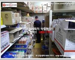 바퀴벌레퇴치 현장!!