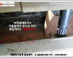 바퀴벌레 작업 현장 12월 