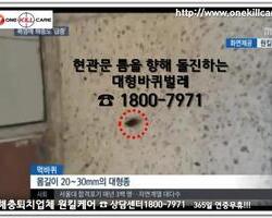 바퀴벌레 현관문 출입시도!!