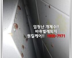 바퀴벌레퇴치 현장 10월